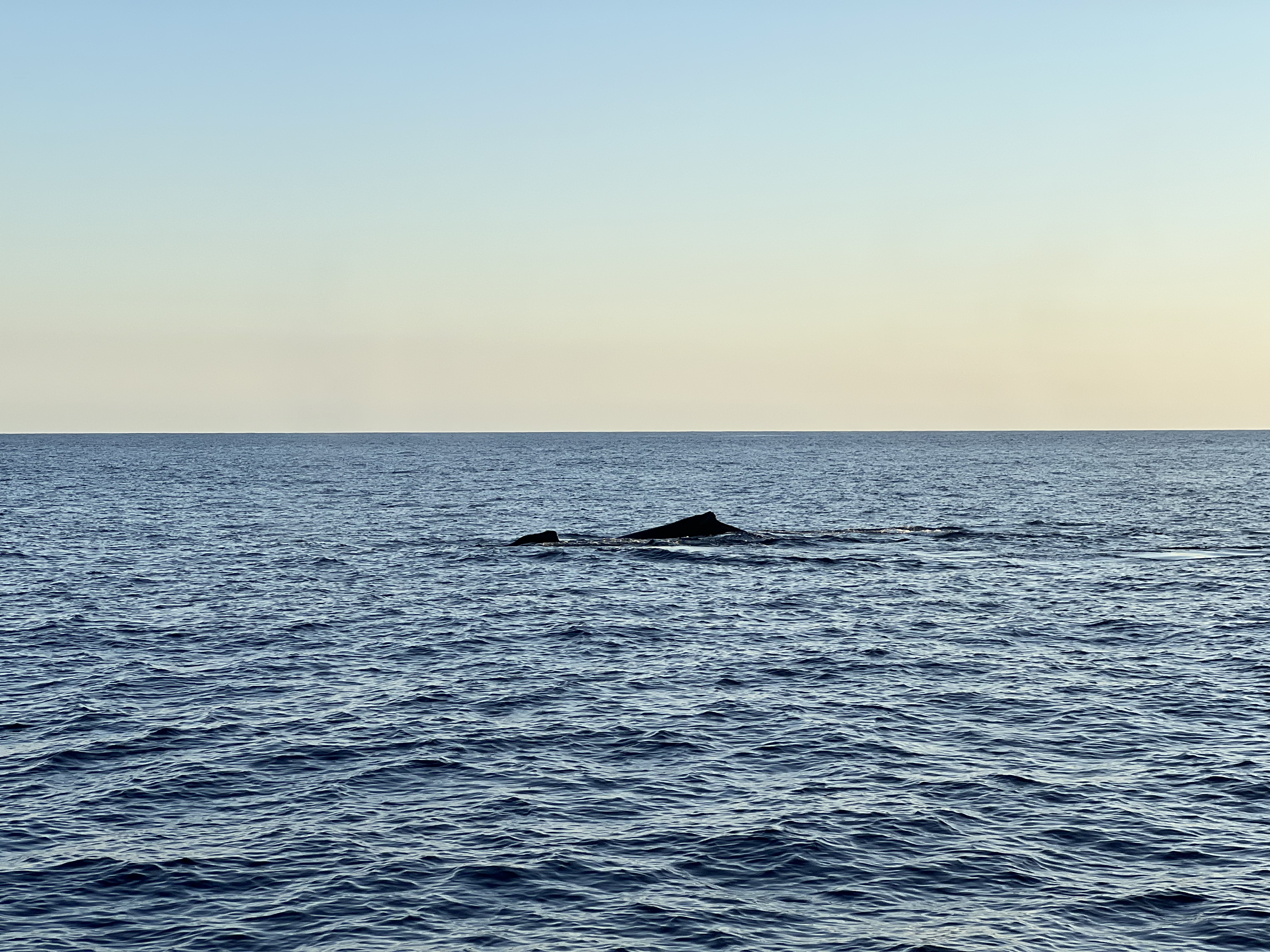 ./2024/13 - Cabo/IMG_4732.jpg